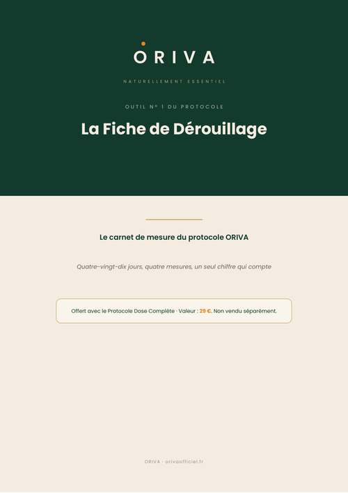 Le Carnet du Dérouillage — Outil nº 1 du protocole